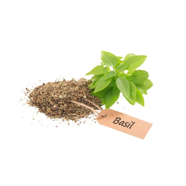 Basil