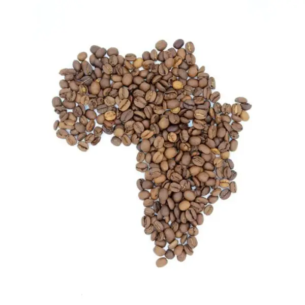 Coffee Beans Kenya AA (Arabica, Medium)