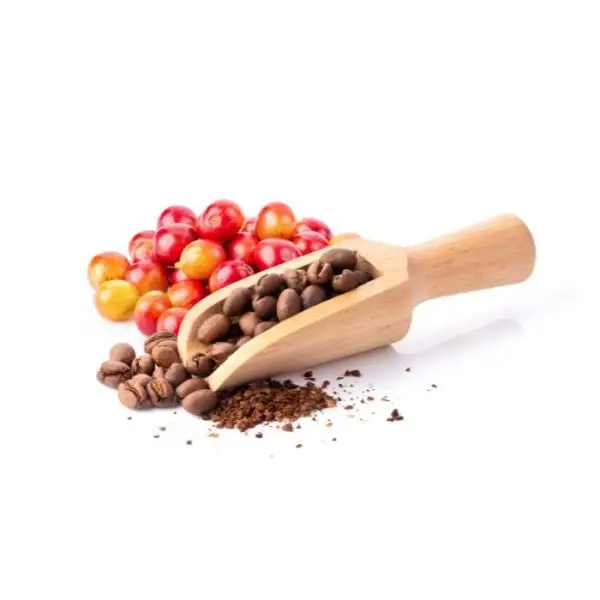 Coffee Beans Honduras SHG (Arabica, Medium; Sweet, balanced, chocolate)