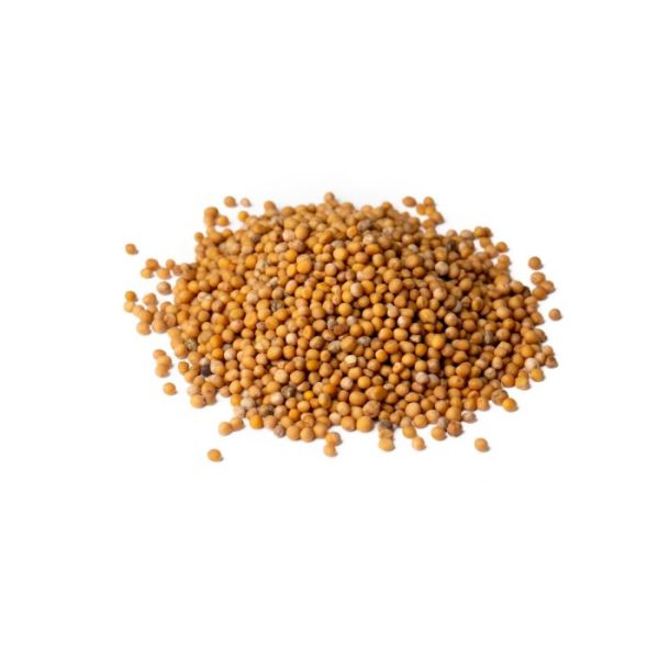 Mustard Seeds